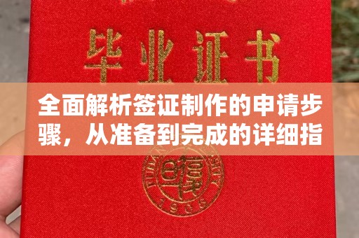 邕宁全面解析签证制作的申请步骤，从准备到完成的详细指南